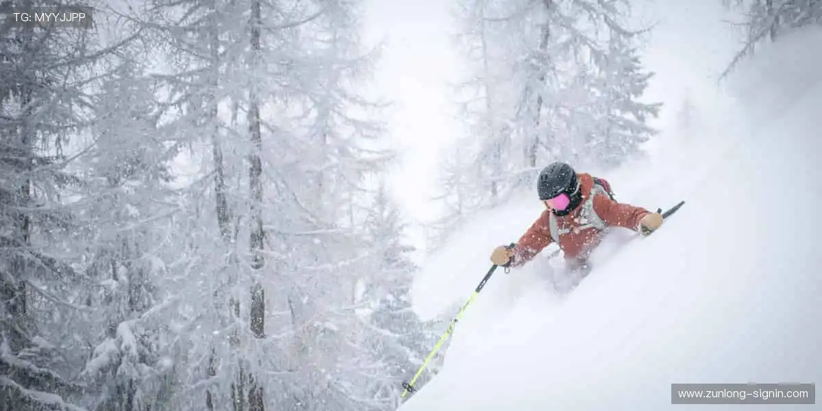 电竞游戏直播互动:弹幕评论实时互动,观赛氛围热烈